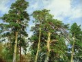 the tops of the pines classical landscape Ivan Ivanovich
